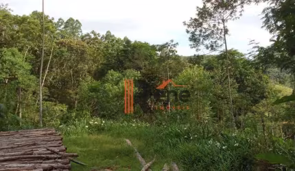 Sítio à venda, 15000 m² por R$ 370.000,00 - Caetés - Camboriú/SC