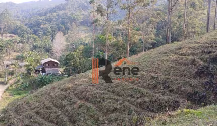 Chácara com 2 dormitórios à venda, 27500 m² por R$ 995.000,00 - Braço - Camboriú/SC