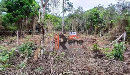 Terreno de 375m² à venda na Praia do Ervino, São Francisco do Sul!