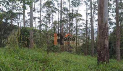 Terreno 5.000m²,Caetes,Camboriú,SC.
