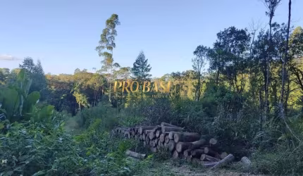 Chácara / sítio à venda na Geral Santa Teresa s/n, 1, Santa Teresa, São Pedro de Alcântara por R$ 950.000