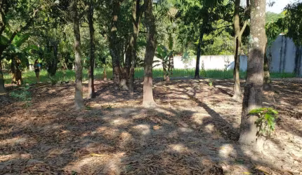 Terreno à venda na Dos Pinheiros, Casa Verde, Monte Mor por R$ 185.000