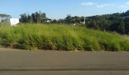 excelente oportunidade no Jd Brasilia
