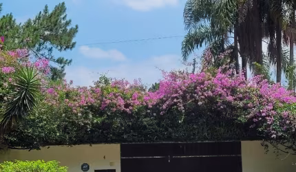 Chácara cinematográfica, no Sete Praias, São Paulo-SP