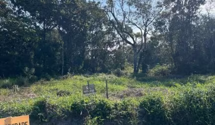 Terreno à venda, 375 m² por R$ 190.000,00 - Rosa dos Ventos - Itapoá/SC
