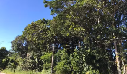 terrenos juntos à venda por R$ 480.000 - Brandalize - Itapoá/SC