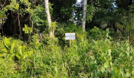 Terreno à venda, 1125 m² por R$ 510.000,00 - Brandalize - Itapoá/SC