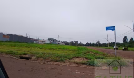 Terreno para Venda em Cascavel, Morumbi