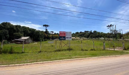 Terreno à venda, 6500 m² por R$ 3.350.000,00 - Cic - Curitiba/PR