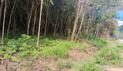 Chácara com 8.800 m² c/ acesso restrito a moradores câmera de segurança e