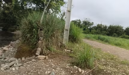 Terreno próximo do Rio Marumbi