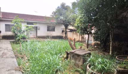 Terreno Jardim Paulistano