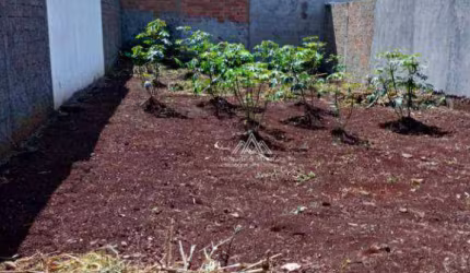 Terreno à venda, 160 m² por R$ 128.000,00 - Parque das Oliveiras - Ribeirão Preto/SP