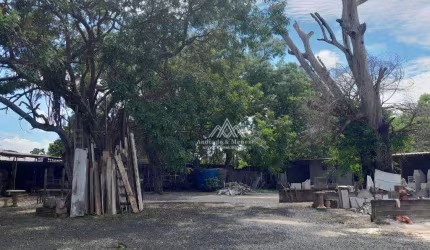 Chácara com 2 dormitórios à venda, 5000 m² por R$ 3.000.000,00 - Recreio das Acácias - Ribeirão Preto/SP