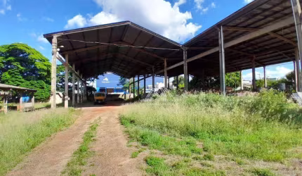 Terreno para alugar, 500 m² por R$ 8.000,00/mês - Parque Industrial Lagoinha - Ribeirão Preto/SP