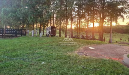 Imóvel rural, com 4 dormitórios à venda, 121000 m² por R$ 3.800.000 - Zona Rural - Miguelópolis/SP