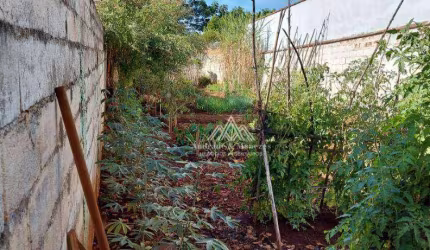 Terreno à venda, 252 m² por R$ 150.000,00 - Jardim Javari - Ribeirão Preto/SP