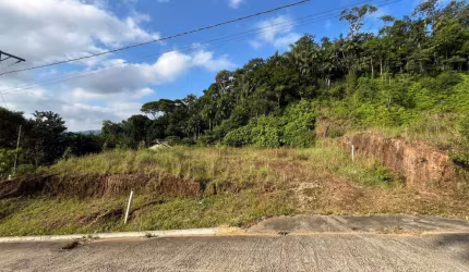 Terreno bairro Ilha da Figueira - guaramirim/SC