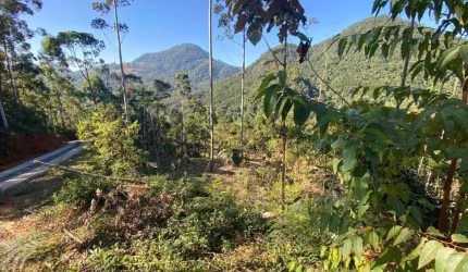 Terreno à venda, Barra do Rio Molha - Jaraguá do Sul/SC
