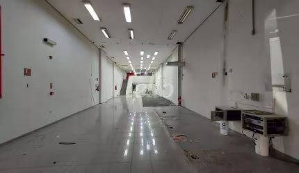 Ponto comercial com 4 salas para alugar na Rua Juventus, --, Parque da Mooca, São Paulo, 570 m2 por R$ 34.000