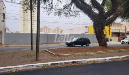 Terreno comercial para alugar na Avenida Paes de Barros, --, Mooca, São Paulo, 1050 m2 por R$ 150.000