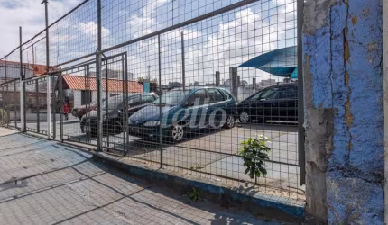 Terreno comercial para alugar na Avenida Júlio Buono, --, Vila Constança, São Paulo, 411 m2 por R$ 25.000