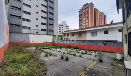 Terreno comercial para alugar na Avenida Nova Cantareira, --, Tucuruvi, São Paulo, 350 m2 por R$ 3.700