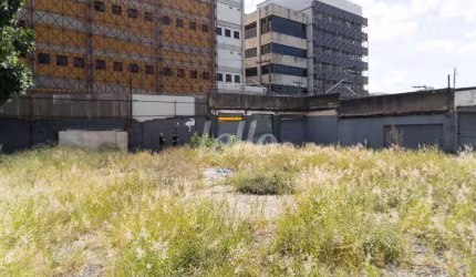 Terreno comercial para alugar na Rua Dona Santa Veloso, --, Vila Guilherme, São Paulo, 970 m2 por R$ 18.000