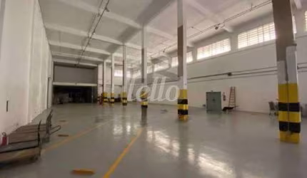 Prédio para alugar na Rua Marina Ciufuli Zanfelice, --, Lapa, São Paulo, 6365 m2 por R$ 250.000