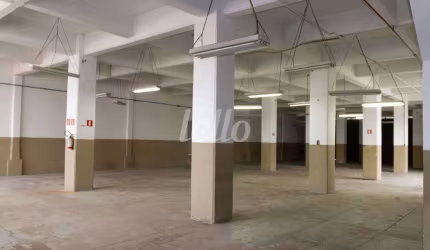Barracão / Galpão / Depósito para alugar na Rua Zanzibar, --, Casa Verde, São Paulo, 2440 m2 por R$ 50.000