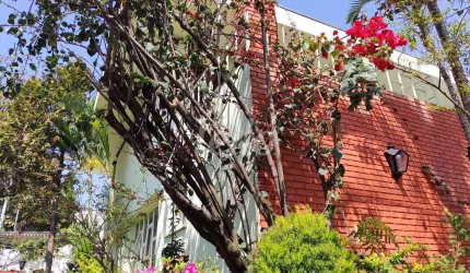 Casa com 4 quartos para alugar na Rua Paumari, --, Vila Ipojuca, São Paulo, 280 m2 por R$ 11.000
