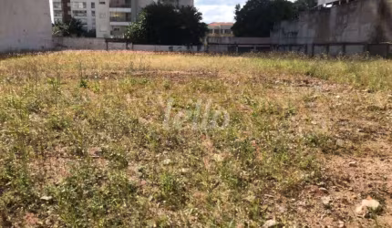 Terreno comercial para alugar na Rua Clélia, --, Água Branca, São Paulo, 1625 m2 por R$ 50.000