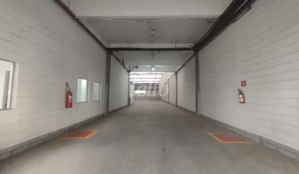 Barracão / Galpão / Depósito para alugar na Rua Achilles Orlando Curtolo, --, Parque Industrial Tomas Edson, São Paulo, 997 m2 por R$ 41.874