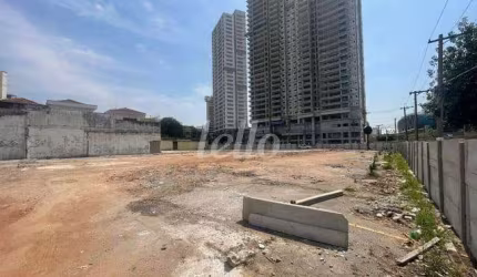 Terreno comercial para alugar na Rua Francisco Peres, --, Vila Nair, São Paulo, 3939 m2 por R$ 29.999