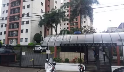 Apartamento com 3 quartos para alugar na Rua Antônio Ribeiro de Morais, --, Vila Carbone, São Paulo, 60 m2 por R$ 1.800