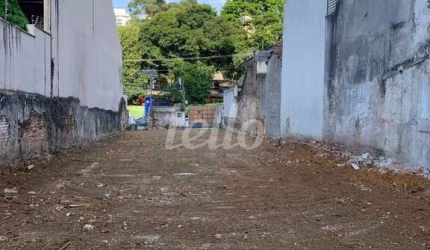 Terreno comercial para alugar na Rua Tuiuti, --, Tatuapé, São Paulo, 500 m2 por R$ 15.000