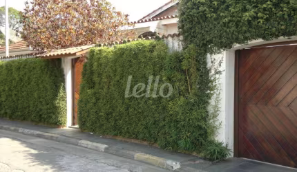 Casa com 6 quartos à venda na Rua Icamaquã, 107, Vila Albertina, São Paulo, 290 m2 por R$ 1.200.000