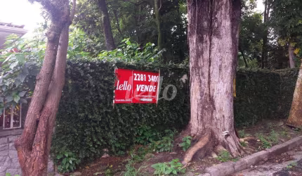 Terreno à venda na Rua Caucaia do Alto, 000, Vila Albertina, São Paulo, 341 m2 por R$ 530.000