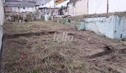 Terreno à venda na Alameda Conde de Porto Alegre, 507, Santa Maria, São Caetano do Sul, 400 m2 por R$ 965.000