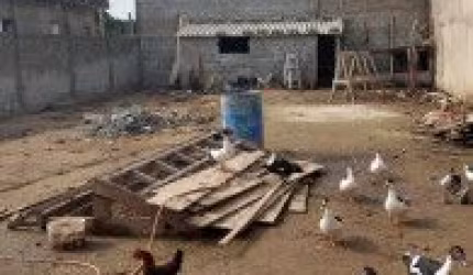 Terreno localizado no bairro São João, em Itanhaém - lado praia em rua de terra.