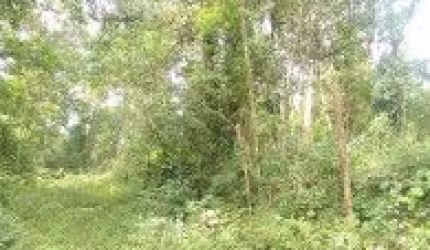 Terreno de chácara no Parque Novaro, em Itanhaém - sendo lado serra à 1,5 km da rodovia, em rua de terra.
