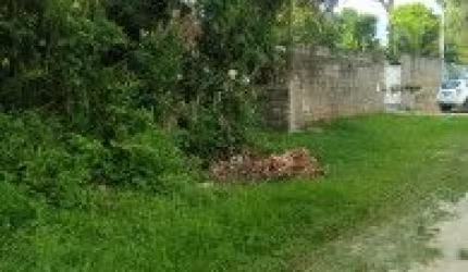 Terreno de chácara no bairro Novaro, em Itanhaém - sendo lado serra, em rua de terra.