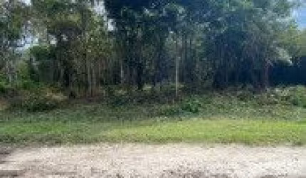 Terreno no bairro Bopiranga, em Itanhaém - localizado no lado serra, em rua de terra.