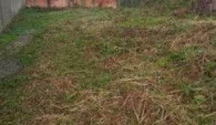 Terreno no bairro Jardim das Palmeiras, em Itanhaém - localizado no lado praia.