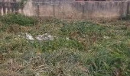 Terreno no bairro Jardim das Palmeiras, em Itanhaém - sendo lado praia, em rua calçada.