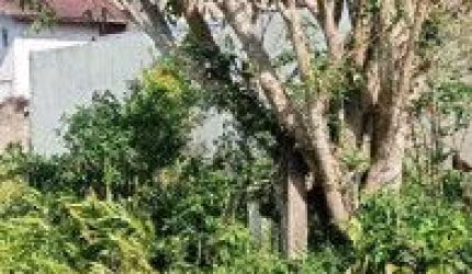 Terreno localizado no bairro Jardim das Palmeiras - lado praia.