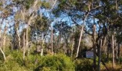 Terreno no Jardim São Francisco em Peruíbe, localizado no lado serra, em rua de terra.