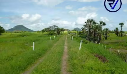 Chácara / sítio com 5 quartos à venda na Br 222 Km 25, 25, Centro, Caucaia por R$ 6.000.000