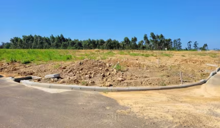 Terreno para Venda em Criciúma, Primeira Linha