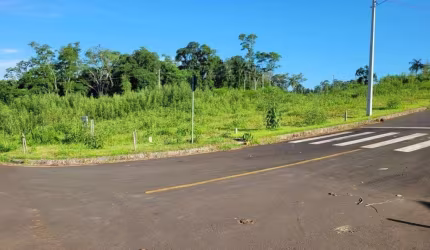 Terreno no bairro Caravaggio em Nova Veneza - Construa já